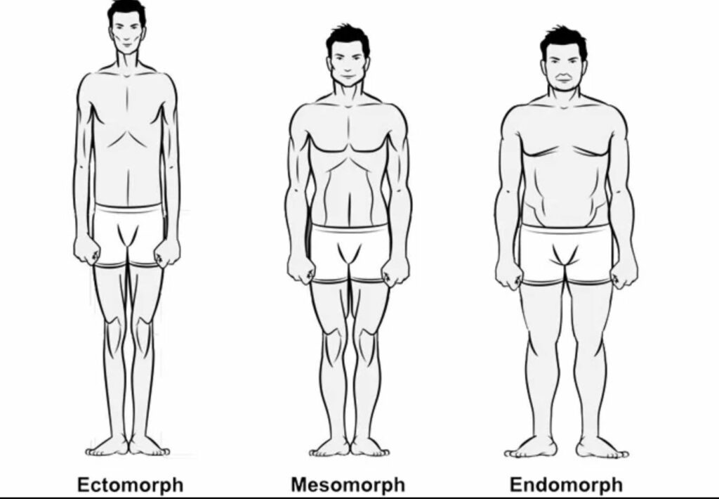 How Genes Influence Your Muscle Growth – Way 2 Get Muscle